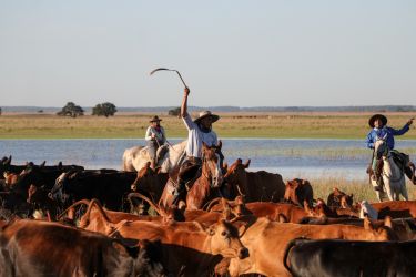 Rando Cheval - Voyage &agrave; cheval