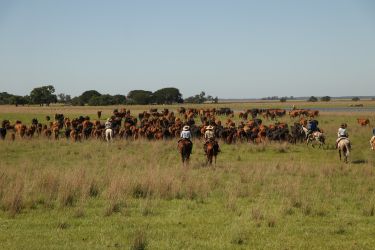 Rando Cheval - Voyage &agrave; cheval