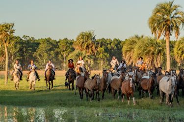 Rando Cheval - Voyage &agrave; cheval