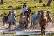ARGENTINE - Estancia Cordoba - RANDO CHEVAL
