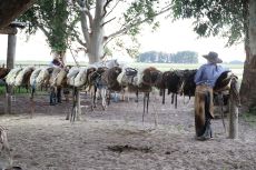 ARGENTINE - Estancia Cordoba - RANDO CHEVAL