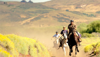 Selles recado en Amérique du Sud - RANDOCHEVAL