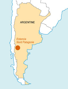 Photos de notre voyage équestre dans une estancia de Patagonie (Bariloche) en Argentine - Rando Cheval