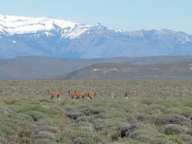 Photos de notre voyage équestre dans une estancia (ranch) de Patagonie (Bariloche) en Argentine - Rando Cheval