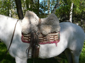 Photos de notre voyage équestre dans une estancia de Patagonie (Bariloche) en Argentine - Rando Cheval