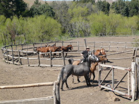 Photos de notre voyage équestre dans une estancia (ranch) de Patagonie (Bariloche) en Argentine - Rando Cheval