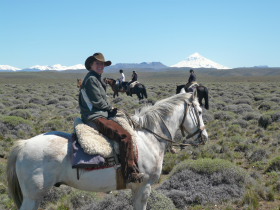 Argentine : séjour et randonnée en estancia - randocheval / absolu voyages