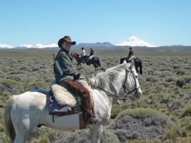 Argentine : séjour et randonnée en estancia - randocheval / absolu voyages