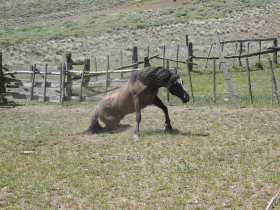 Photos de notre voyage équestre dans une estancia (ranch) de Patagonie (Bariloche) en Argentine - Rando Cheval