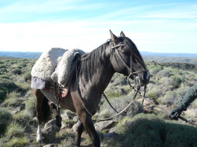 Photos de notre voyage équestre dans une estancia de Patagonie (Bariloche) en Argentine - Rando Cheval