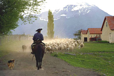 Rando Cheval - Voyage à cheval