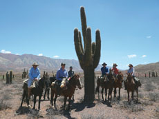 randonnée équestre dans le région de Salta (Argentine) - randocheval / Absolu voyages