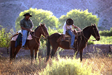 Rando Cheval - Voyage à cheval