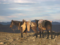 ARGENTINE - Salta Route des Incas - RANDO CHEVAL