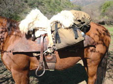 ARGENTINE - Salta Route des Incas - RANDO CHEVAL