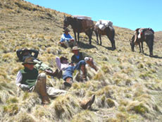 ARGENTINE - Salta Route des Incas - RANDO CHEVAL