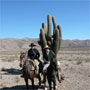 Randonnée à cheval - Un voyage Rando Cheval