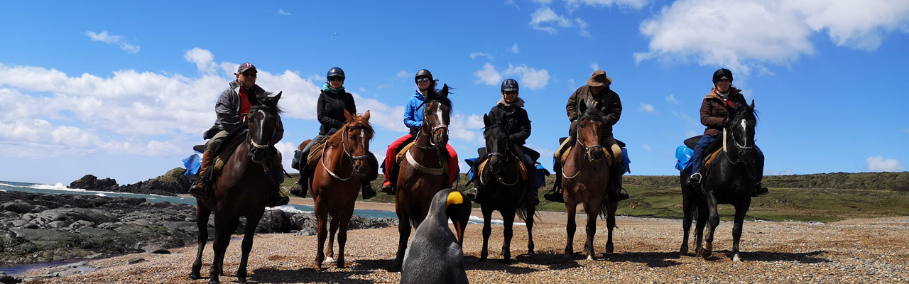 Voyage à cheval - Randonnée équestre organisée par Randocheval