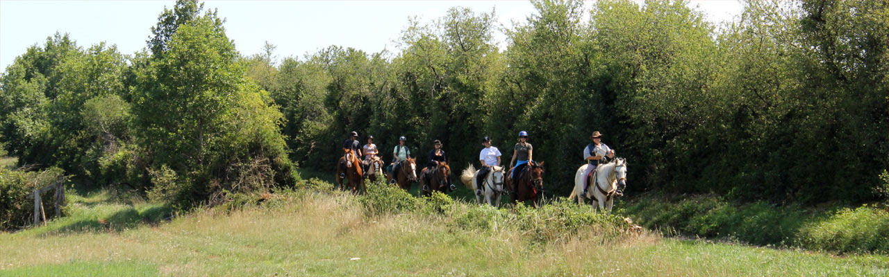 Rando Cheval - Voyage à cheval en Bourgogne