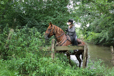 Rando Cheval - Voyage à cheval