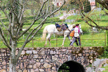 Rando Cheval - Voyage à cheval