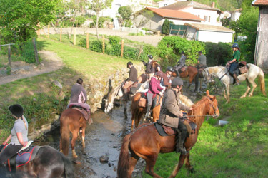 Rando Cheval - Voyage à cheval