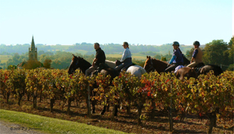 Randonnée équestre Bordelais la route des grands vins - RANDOCHEVAL