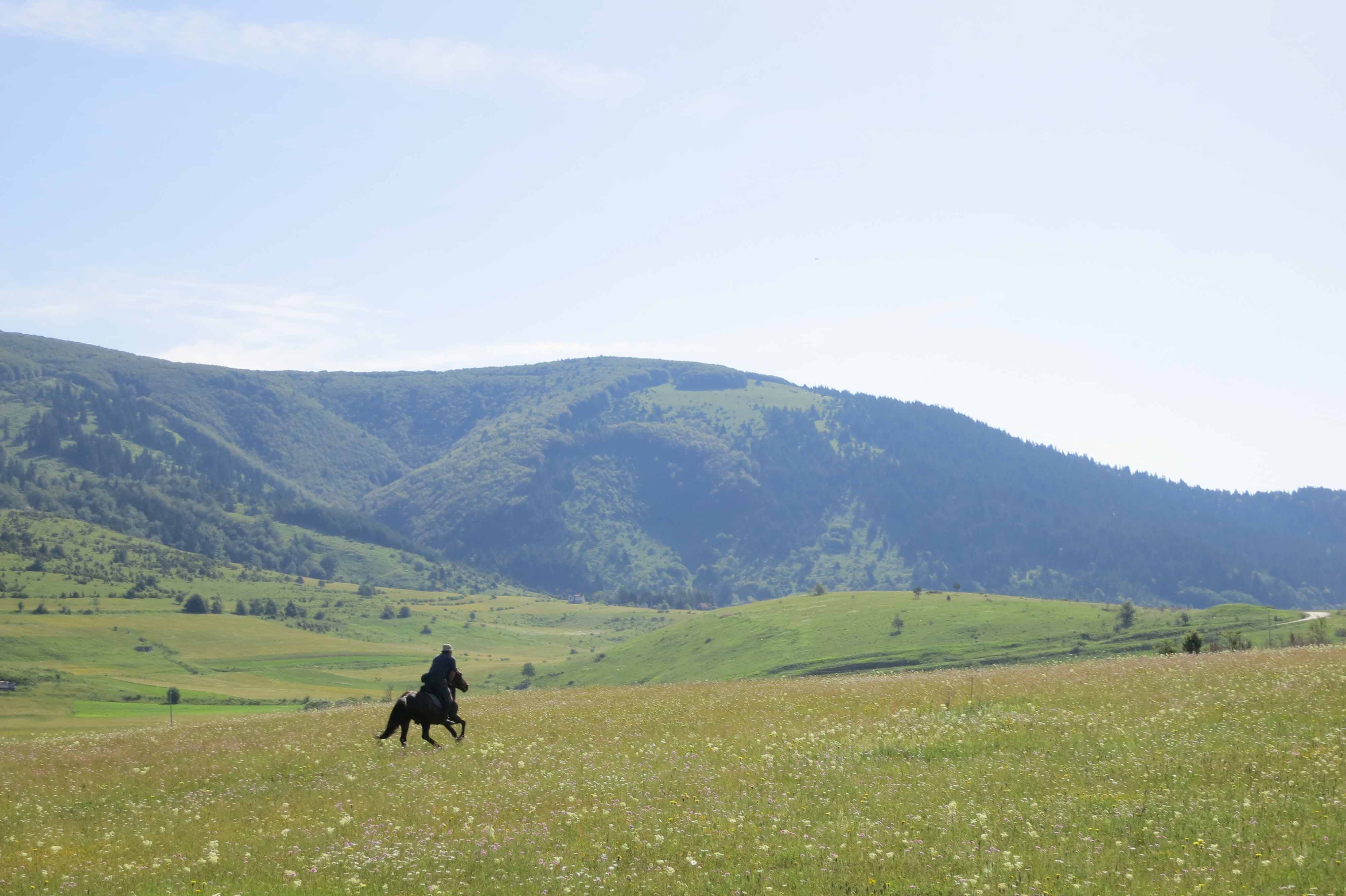 Randonnée équestre en Bosnie Herzegovine (Europe), sur le plateau de Kupres : Galops dans les plaines - Randocheval - Absolu Voyages