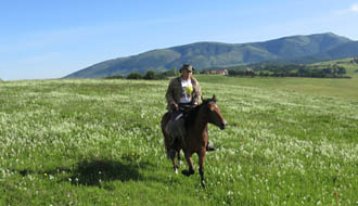 Séjour équestre en Norvège pour familles avec enfants au nord de la région des fjords - équitation en pleine nature sur des chevaux / poneys islandais - Rando Cheval / Absolu Voyage