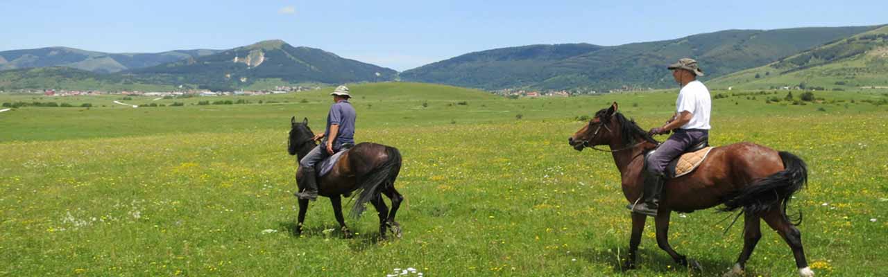 Randonnée équestre en Croatie / randocheval - Absolu voyages