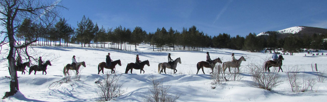 Voyage à cheval en BOSNIE - Randonnée équestre organisée par Randocheval