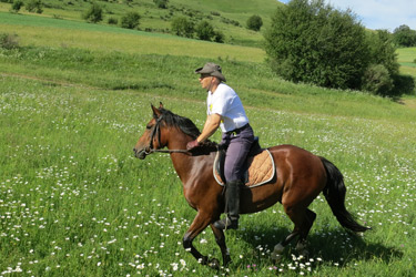 Voyage à cheval en BOSNIE - Randonnée équestre organisée par Randocheval