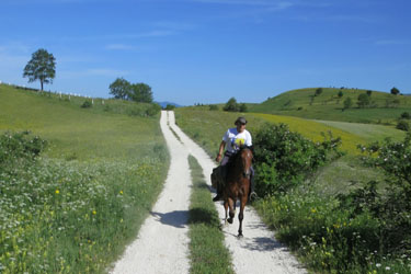 Voyage à cheval en BOSNIE - Randonnée équestre organisée par Randocheval