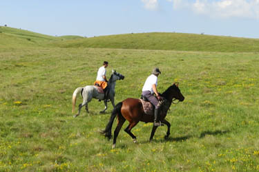 Voyage à cheval en BOSNIE - Randonnée équestre organisée par Randocheval