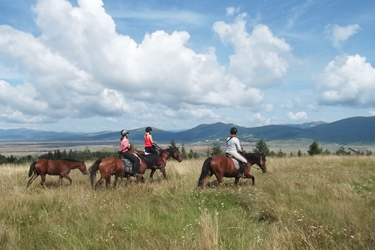 Voyage à cheval en BOSNIE - Randonnée équestre organisée par Randocheval