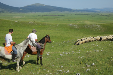 Voyage à cheval en BOSNIE - Randonnée équestre organisée par Randocheval