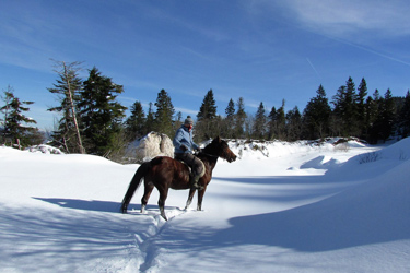 Voyage à cheval en BOSNIE - Randonnée équestre organisée par Randocheval