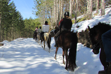 Voyage à cheval en BOSNIE - Randonnée équestre organisée par Randocheval