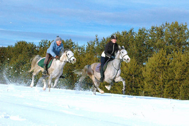 Voyage à cheval en BOSNIE - Randonnée équestre organisée par Randocheval