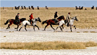 Randonnée équestre au Botswana Kalahari - RANDOCHEVAL