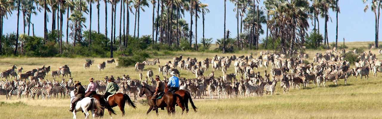 Voyage à cheval - Randonnée équestre organisée par Randocheval