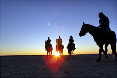 Rando Cheval - Voyage à cheval