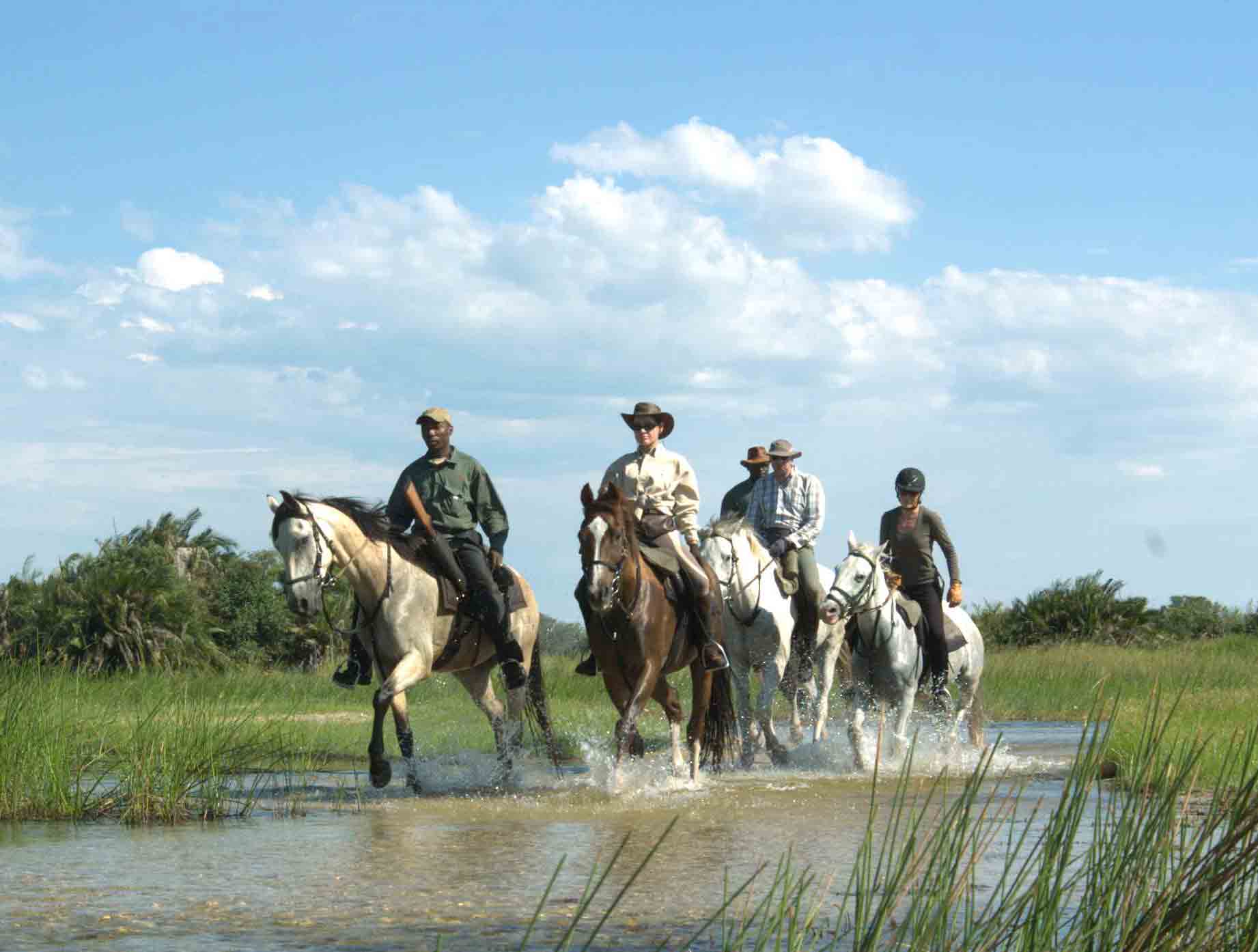 carnet de voyage botswana