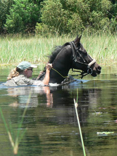 Paysages variés lors de notre safari au Botswana - RANDOCHEVAL