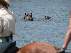 Coucher de soleil sur le delta de l'Okavango au Botswana - RANDOCHEVAL