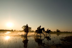 Randonnée équestres et safaris à cheval au Botswana (Afrique Australe) dans le Delta de l'Okavango - Randocheval / Absolu Voyages