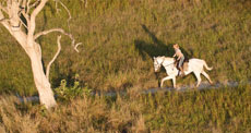 Randonnée équestres et safaris à cheval au Botswana (Afrique Australe) dans le Delta de l'Okavango - Randocheval / Absolu Voyages