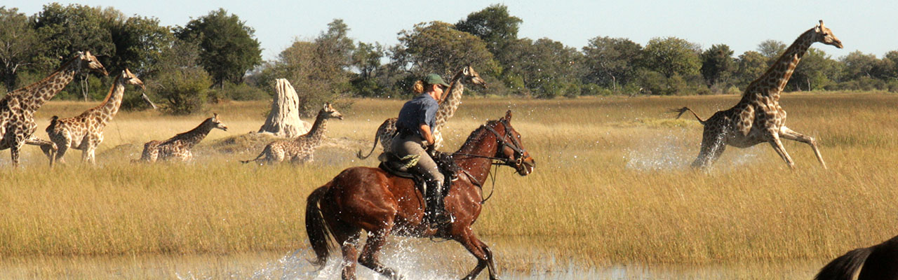 Voyage à cheval - Randonnée équestre organisée par Randocheval