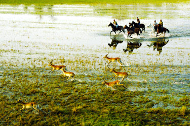 Rando Cheval - Voyage à cheval