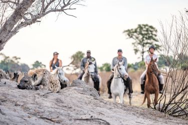 Rando Cheval - Voyage &agrave; cheval